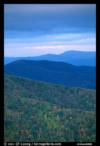 Hillside and receding ridges in autumn. Shenandoah National Park (color)