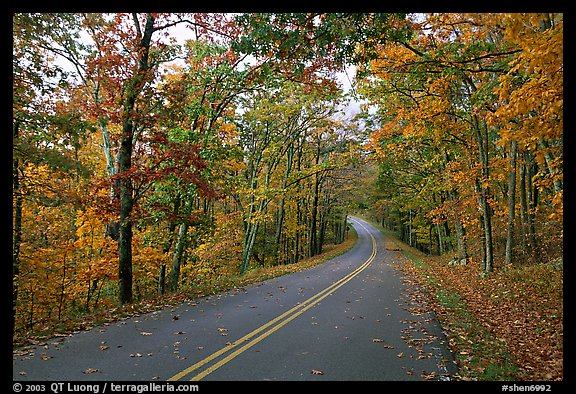Skyline Drive in autumn. Shenandoah National Park, Virginia, USA.