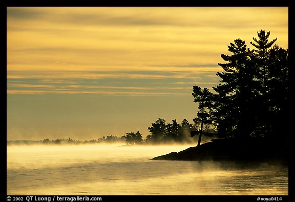 Fog lifting up in early morning and trees on shore of Kabetogama Lake. Voyageurs National Park, Minnesota, USA.