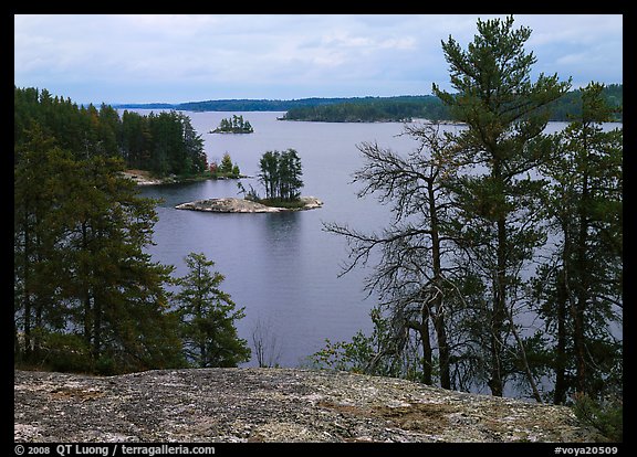Islet and trees, Anderson Bay. Voyageurs National Park, Minnesota, USA.