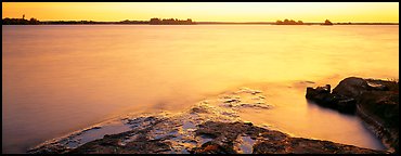 Lakeshore and glassy water painted yellow by sunrise. Voyageurs National Park (Panoramic color)