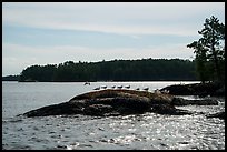Seagulls perched on rock, Namakan Lake. Voyageurs National Park ( color)