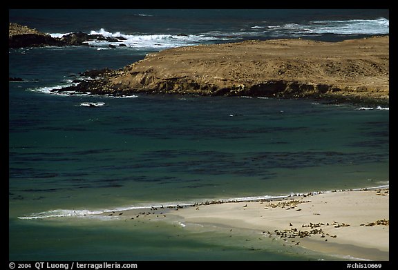 Point Bennet and rookeries, mid-day, San Miguel Island. Channel Islands National Park (color)