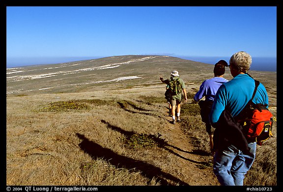 Hikers on  trail to Point Bennett, San Miguel Island. Channel Islands National Park, California, USA.