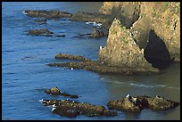 Rocky shoreline of Middle Anacapa Island. Channel Islands National Park, California, USA. (color)
