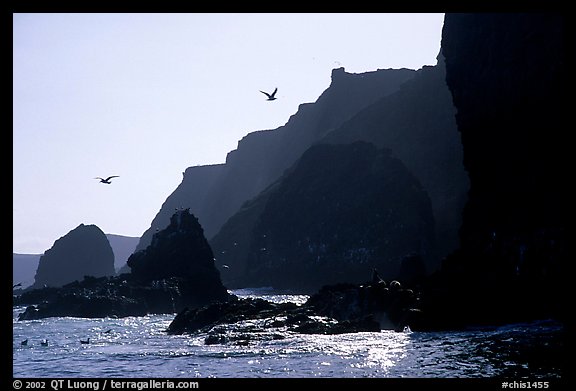 Steep cliffs, East Anacapa. Channel Islands National Park, California, USA.