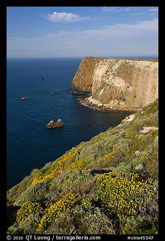 North Bluff, Santa Cruz Island. Channel Islands National Park, California, USA.
