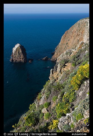 Rock and cliff in springtime, Santa Cruz Island. Channel Islands National Park, California, USA.
