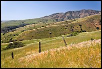 Grasslands, fence and hill ridges, Santa Cruz Island. Channel Islands National Park, California, USA.