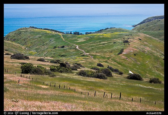 Grasslands in the spring, fence and ocean, Santa Cruz Island. Channel Islands National Park, California, USA.