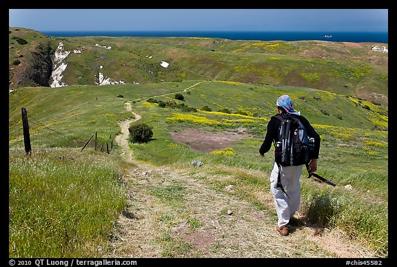 Hiker on trail in the spring, Santa Cruz Island. Channel Islands National Park, California, USA.
