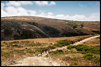 Hikers on road, Santa Rosa Island. Channel Islands National Park, California, USA.