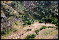 Hikers at Lobo Canyon entrance, Santa Rosa Island. Channel Islands National Park, California, USA.
