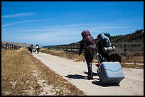 Campers haul gear, Santa Rosa Island. Channel Islands National Park, California, USA.