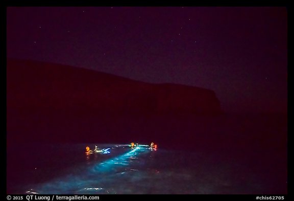Night divers in water, Santa Barbara Island. Channel Islands National Park, California, USA.