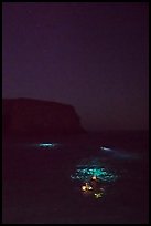 Night diving with lights, Santa Barbara Island. Channel Islands National Park, California, USA.