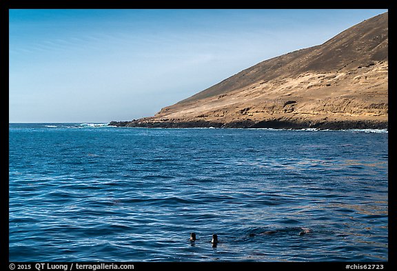 Sea lions and Santa Barbara Island. Channel Islands National Park, California, USA.