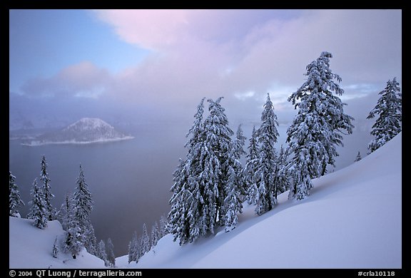 Snow-covered trees and misty lake at sunset. Crater Lake National Park (color)