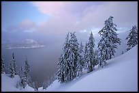 Snow-covered trees and misty lake at sunset. Crater Lake National Park, Oregon, USA.