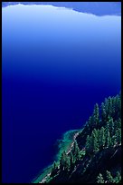 Trees and blue lake waters. Crater Lake National Park, Oregon, USA. (color)