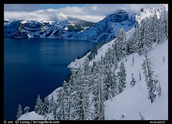 Snowy trees and slopes. Crater Lake National Park, Oregon, USA.