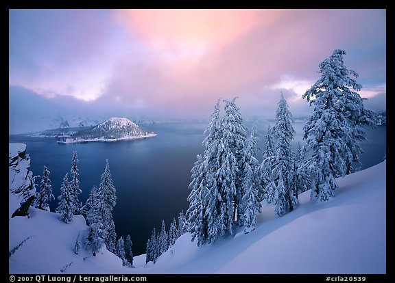 Snowy trees and lake with low clouds colored by sunset. Crater Lake National Park (color)