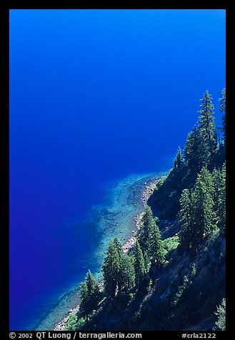 Pine trees and blue waters. Crater Lake National Park (color)