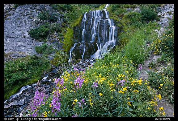 Vidae Falls and stream. Crater Lake National Park (color)