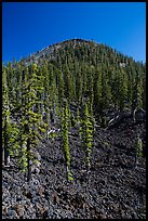 Lava rocks and cinder cone, Wizard Island. Crater Lake National Park ( color)
