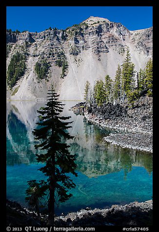 Hemlock, Watchman reflection, and clear waters, Wizard Island. Crater Lake National Park (color)