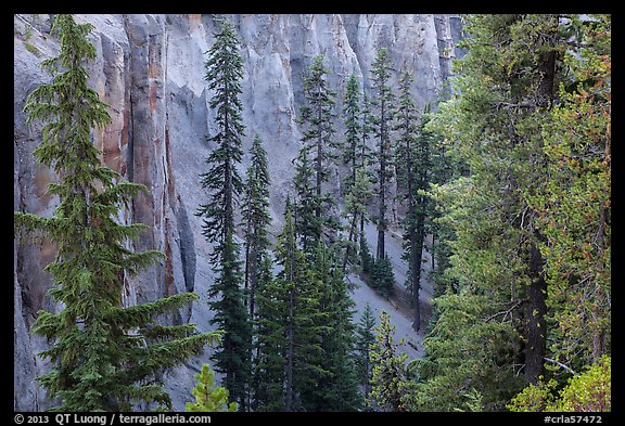 Hemlock and spires of fossilized ash in Munson Creek canyon. Crater Lake National Park (color)