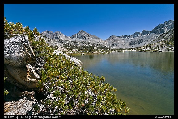 Wood stump and lake, Lower Dusy Basin. Kings Canyon National Park, California, USA.