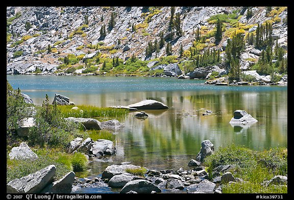 Lake and tree reflections, Lower Dusy Basin. Kings Canyon National Park, California, USA.