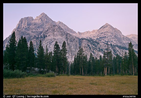 Langille Peak from Big Pete Meadow at dawn, Le Conte Canyon. Kings Canyon National Park, California, USA.
