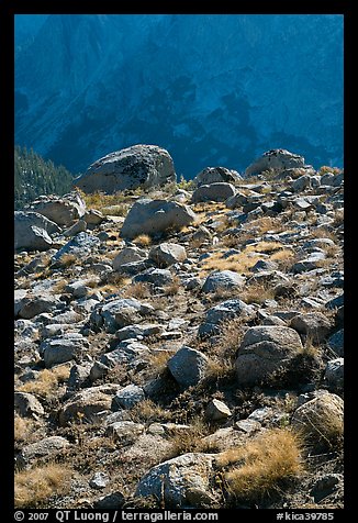 Boulders in meadow and Le Conte Canyon walls. Kings Canyon National Park, California, USA.