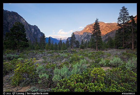 Meadow and cliffs at sunset, Cedar Grove. Kings Canyon National Park, California, USA.