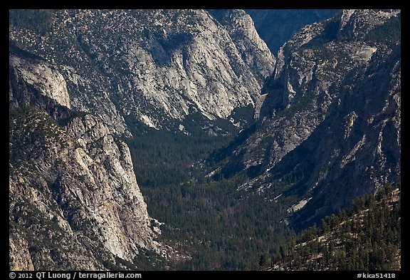 Valley carved by glaciers from above, Cedar Grove. Kings Canyon National Park, California, USA.