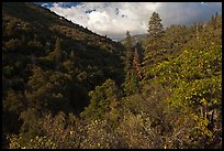 Lewis Creek. Kings Canyon National Park, California, USA. (color)
