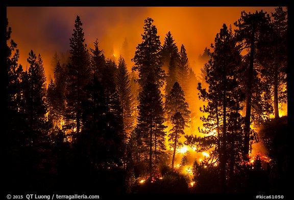 Forest fire. Kings Canyon National Park (color)