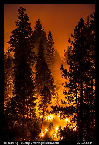 Control burn. Kings Canyon National Park (color)