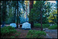 Azalea Campground. Kings Canyon National Park, California, USA.
