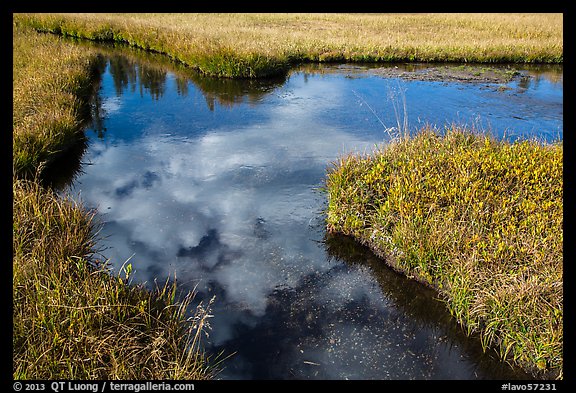 Cloud reflected in Kings Creek. Lassen Volcanic National Park (color)