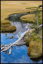 Fallen tree, stream, and meadow. Lassen Volcanic National Park ( color)