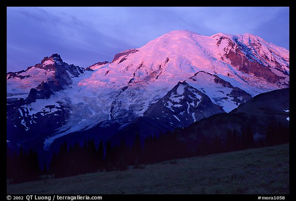 North Face of Mt Rainier, sunrise. Mount Rainier National Park, Washington, USA.