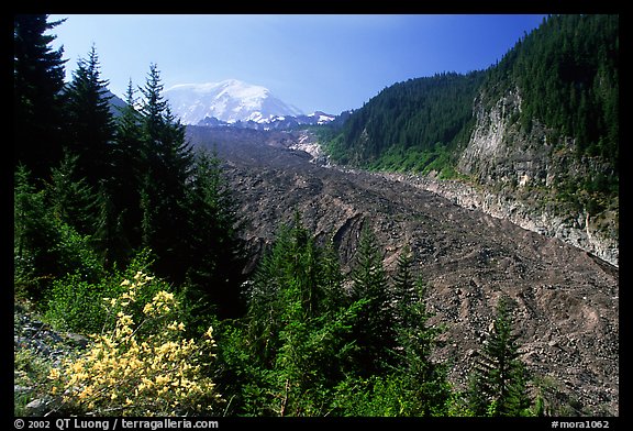 Mt Rainier above debris-covered Carbon Glacier. Mount Rainier National Park, Washington, USA.