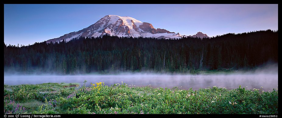Wildlflowers, rising fog, and Mt Rainer at dawn. Mount Rainier National Park (color)