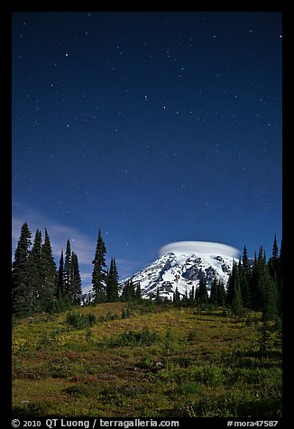 Mount Rainier and stars by night. Mount Rainier National Park, Washington, USA.