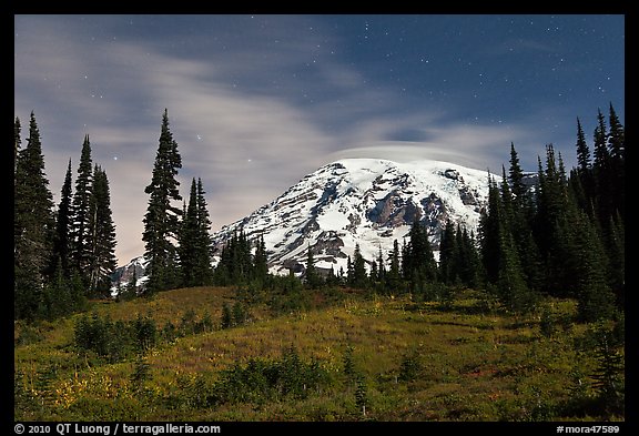 Moonlit Meadow and Mt Rainier. Mount Rainier National Park, Washington, USA.
