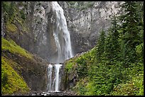 Forest and waterfall. Mount Rainier National Park, Washington, USA.