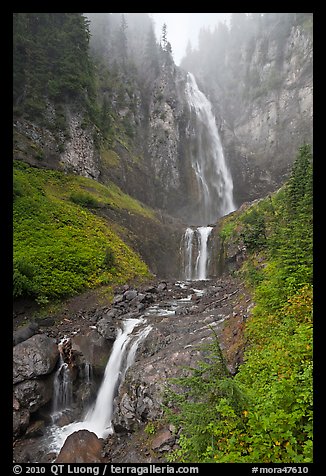 Comet Falls in the fog. Mount Rainier National Park, Washington, USA.